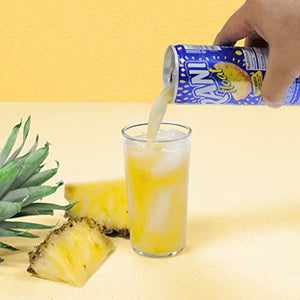 Rani Float Pineapple Fruit Juice-240ml (egypt)