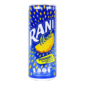Rani Float Pineapple Fruit Juice-240ml (egypt)